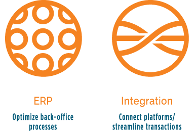 ERP and Integration