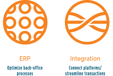 ERP and Integration