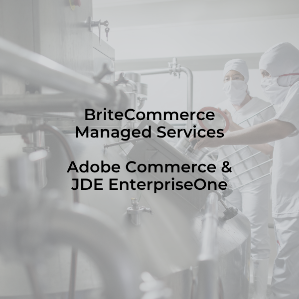 BriteCommerce Managed Services