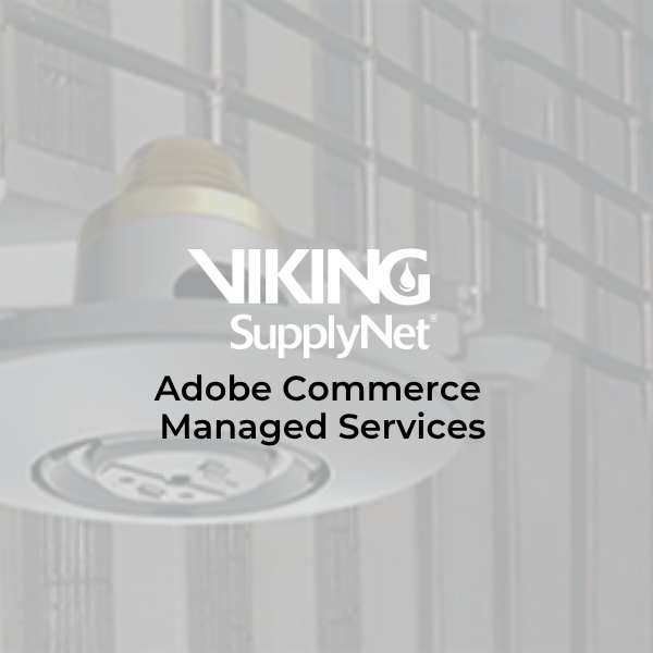 AC Viking Managed Services